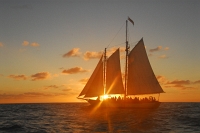 Sunset Schooner 